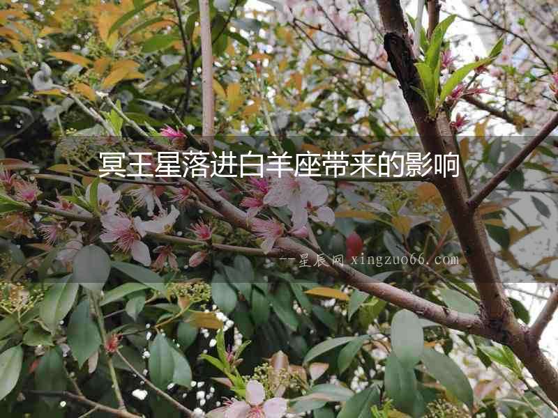 冥王星落進白羊座帶來的影響