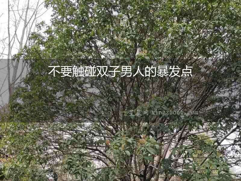 不要觸碰雙子男人的暴發點