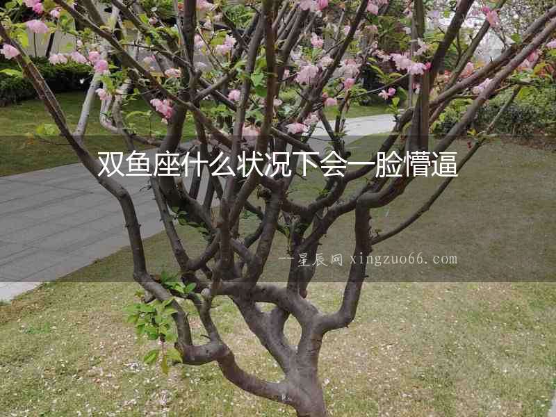 雙魚座什么狀況下會一臉懵逼