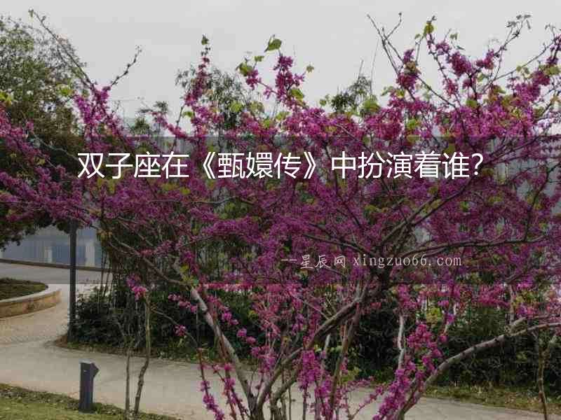 雙子座在《甄嬛傳》中扮演著誰？