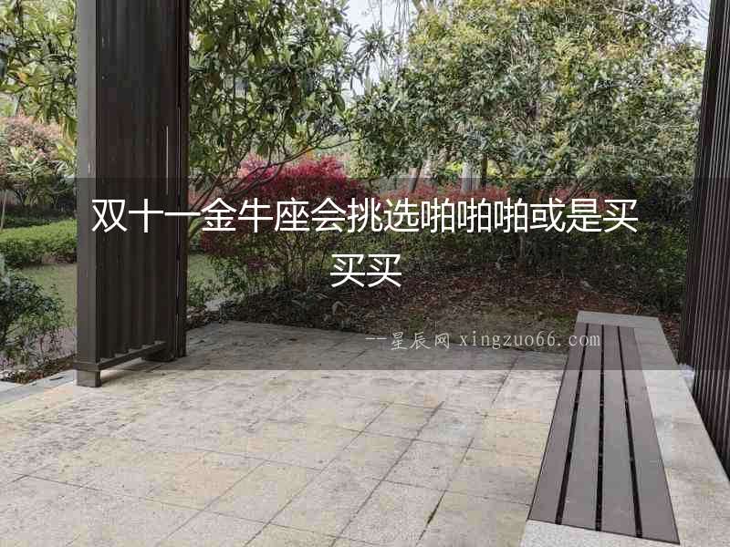 雙十一金牛座會挑選啪啪啪或是買買買