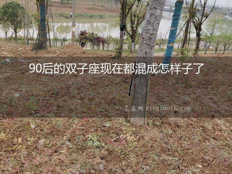 90后的雙子座現在都混成怎樣子了