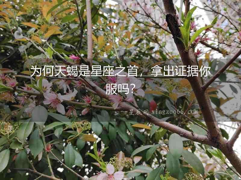 為何天蝎是星座之首，拿出證據(jù)你服嗎？