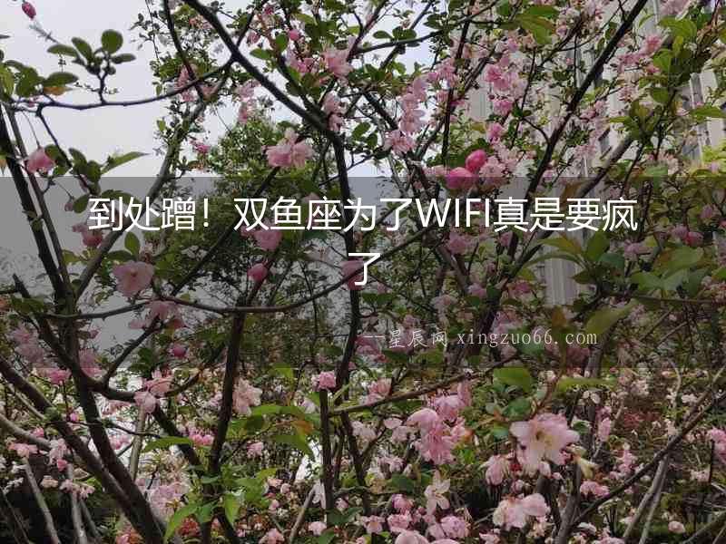 到處蹭！雙魚座為了WIFI真是要瘋了