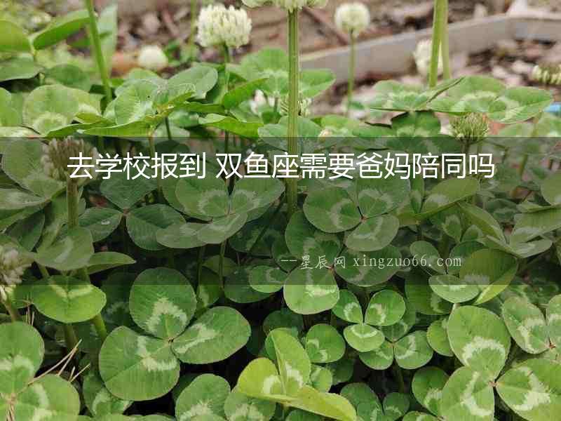去學校報到 雙魚座需要爸媽陪同嗎
