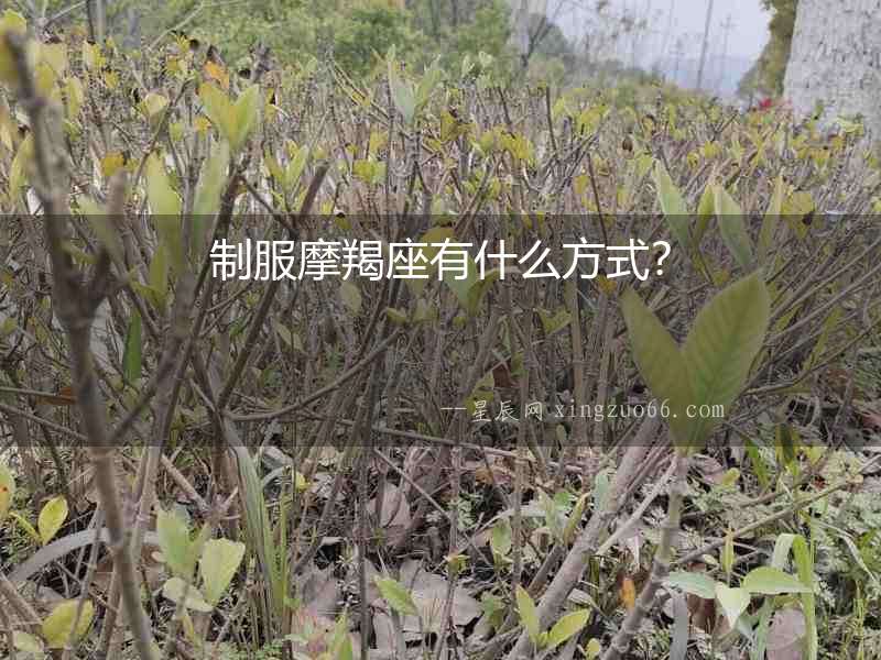 制服摩羯座有什么方式？