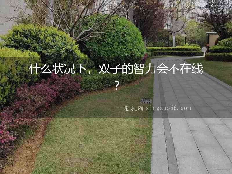 什么狀況下，雙子的智力會不在線？