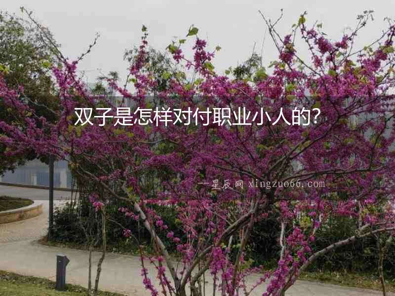 雙子是怎樣對(duì)付職業(yè)小人的？