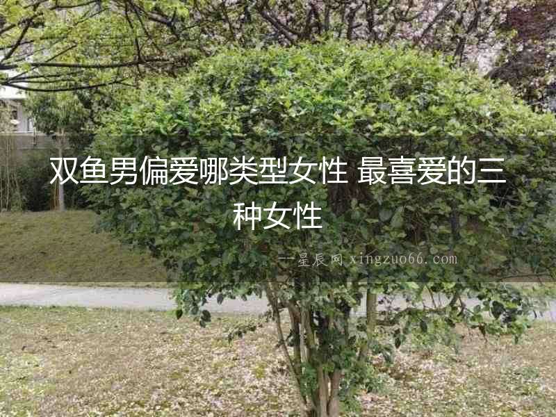 雙魚(yú)男偏愛(ài)哪類(lèi)型女性 最喜愛(ài)的三種女性