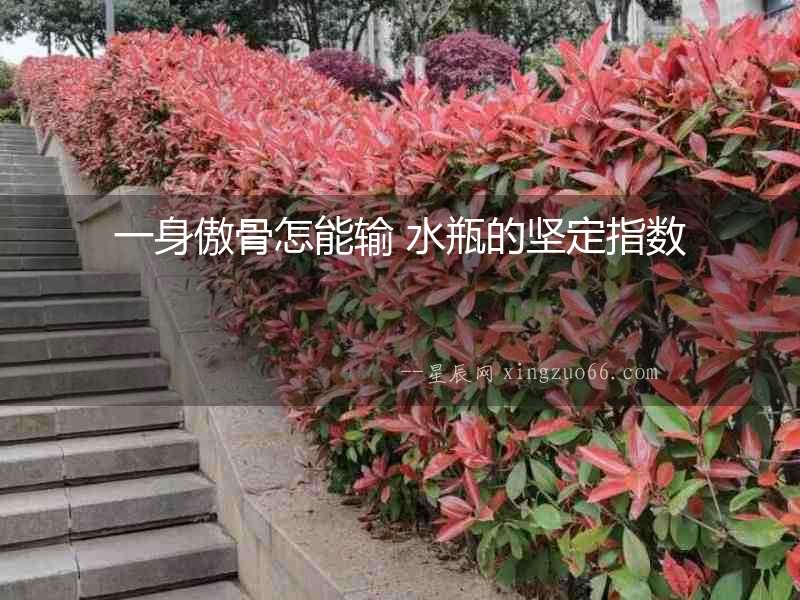一身傲骨怎能輸 水瓶的堅定指數