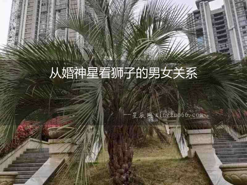 從婚神星看獅子的男女關系