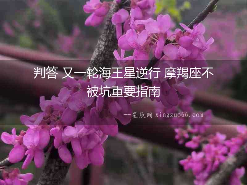判答 又一輪海王星逆行 摩羯座不被坑重要指南