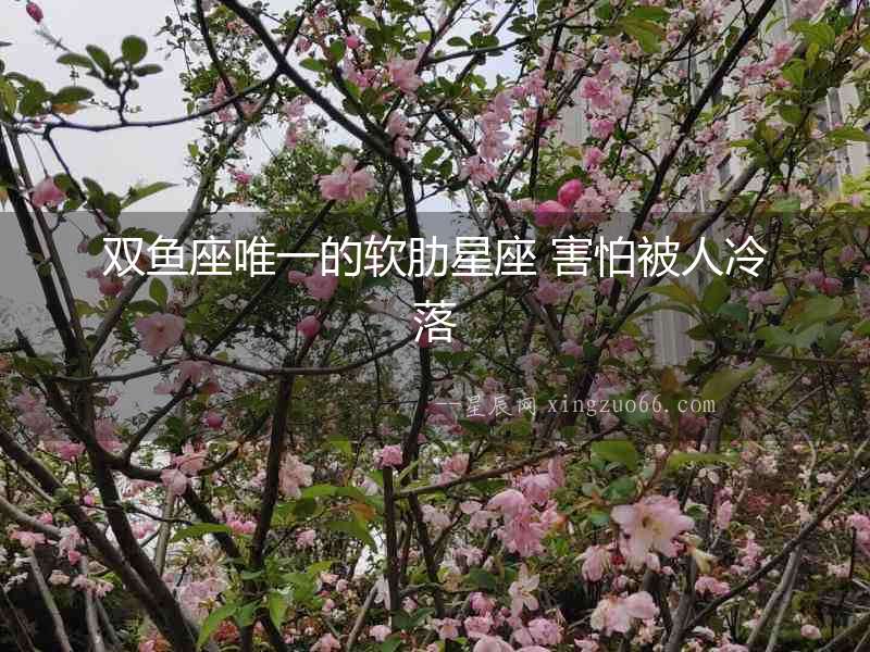 雙魚座唯一的軟肋星座 害怕被人冷落