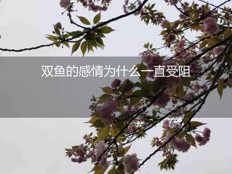 雙魚的感情為什么一直受阻