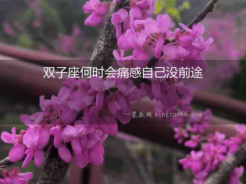雙子座何時會痛感自己沒前途