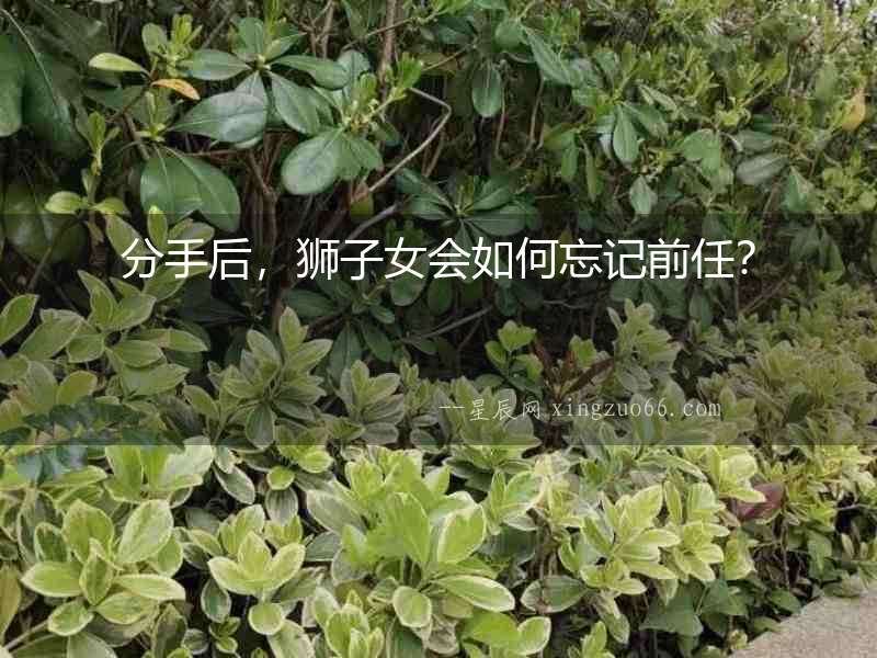 分手后，獅子女會(huì)如何忘記前任？