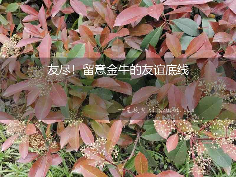 友盡！留意金牛的友誼底線