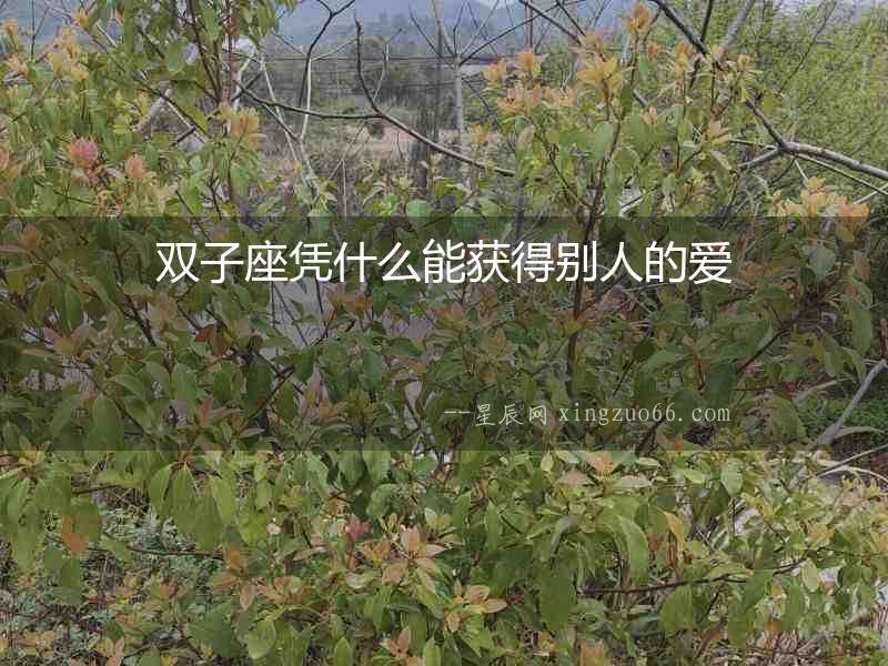 雙子座憑什么能獲得別人的愛(ài)