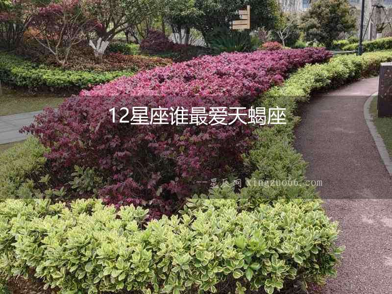 12星座誰(shuí)最愛(ài)天蝎座