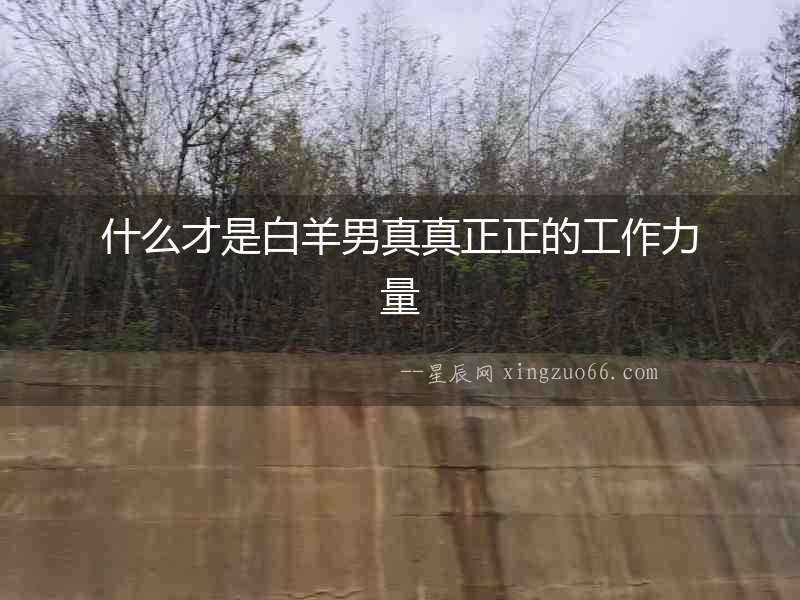 什么才是白羊男真真正正的工作力量