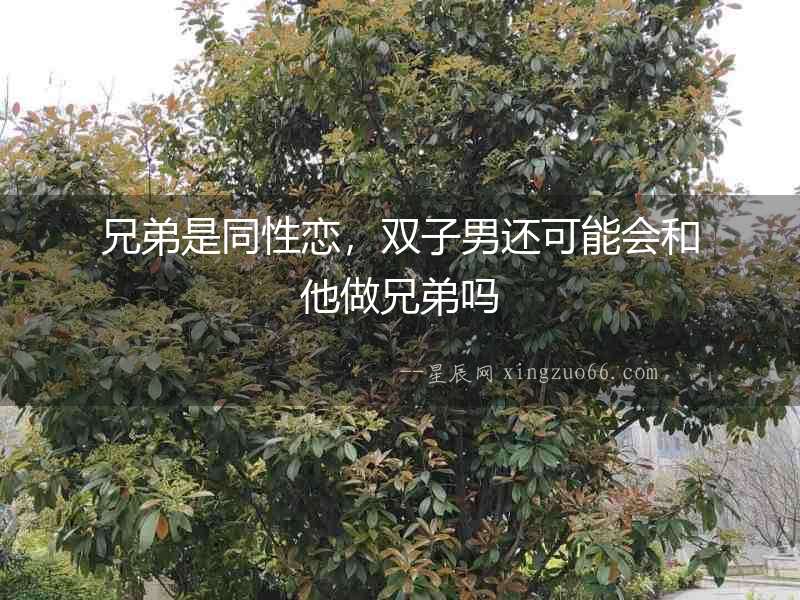 兄弟是同性戀，雙子男還可能會和他做兄弟嗎