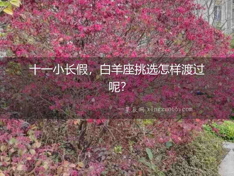 十一小長假，白羊座挑選怎樣渡過呢？