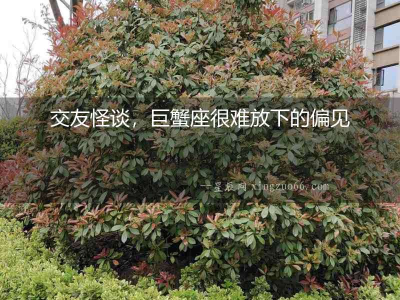 交友怪談，巨蟹座很難放下的偏見