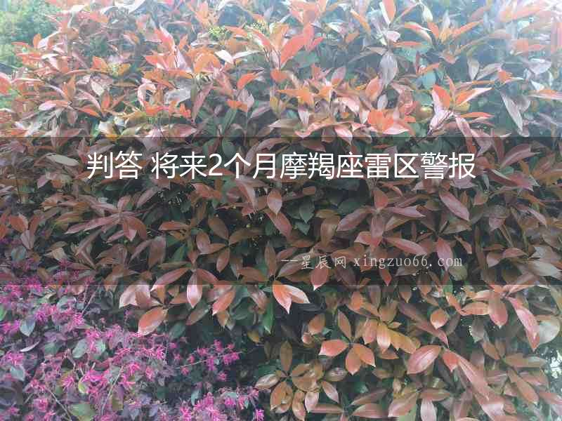 判答 將來2個(gè)月摩羯座雷區(qū)警報(bào)