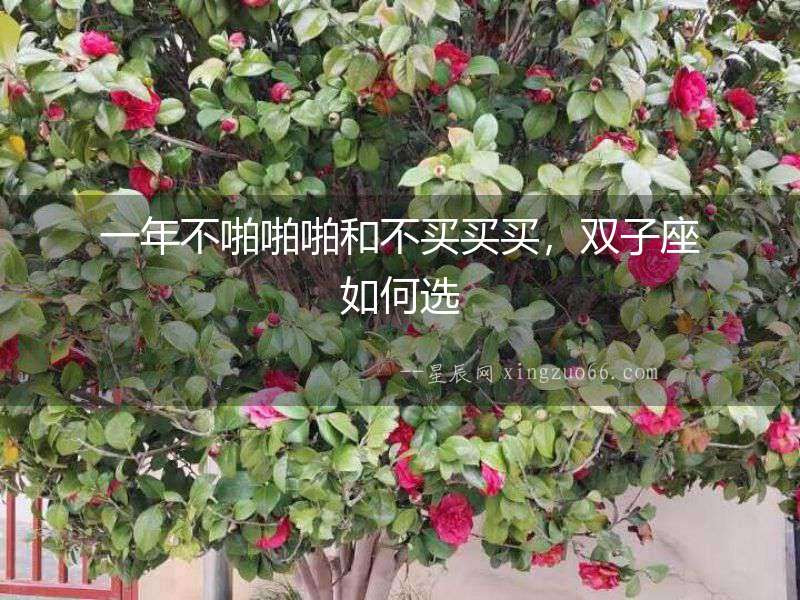 一年不啪啪啪和不買買買，雙子座如何選