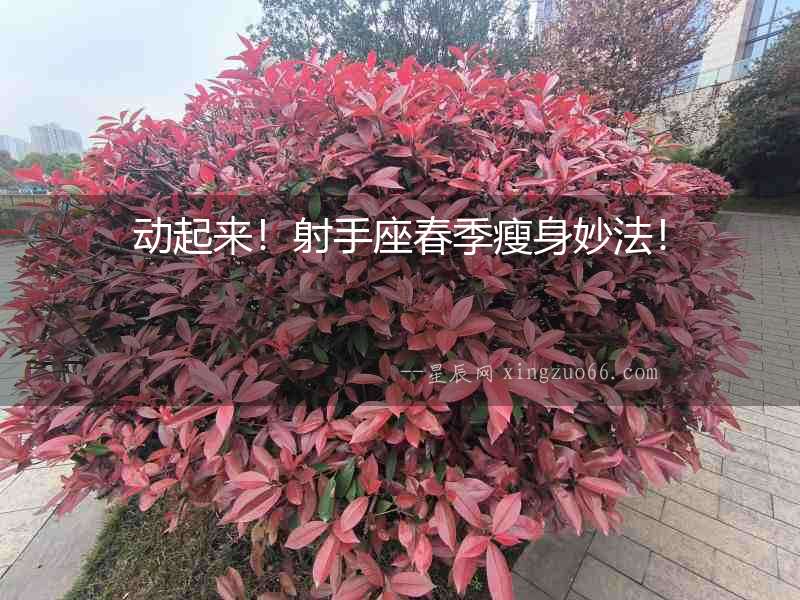 動起來！射手座春季瘦身妙法！