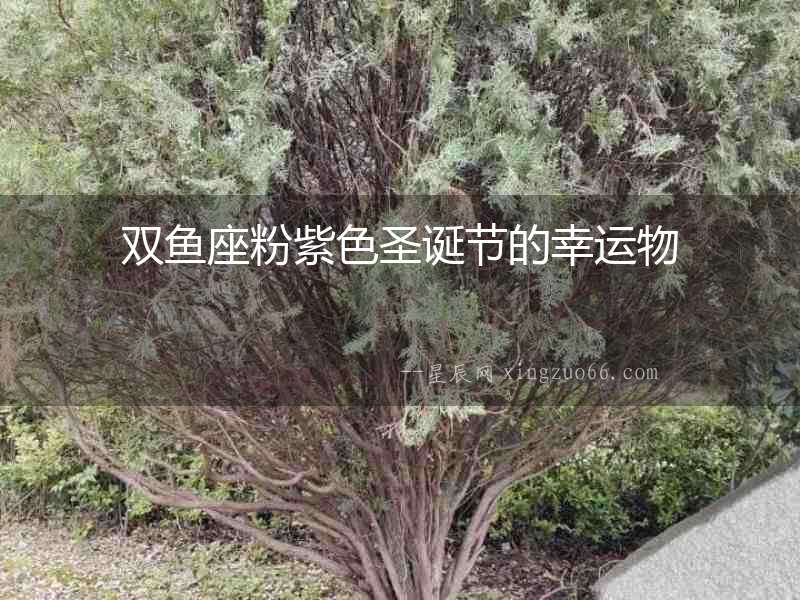 雙魚座粉紫色圣誕節的幸運物