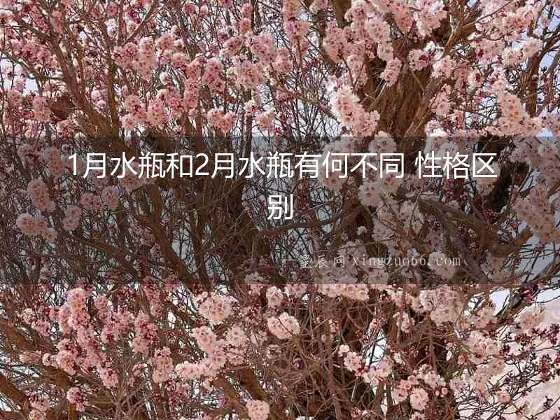 1月水瓶和2月水瓶有何不同 性格區別