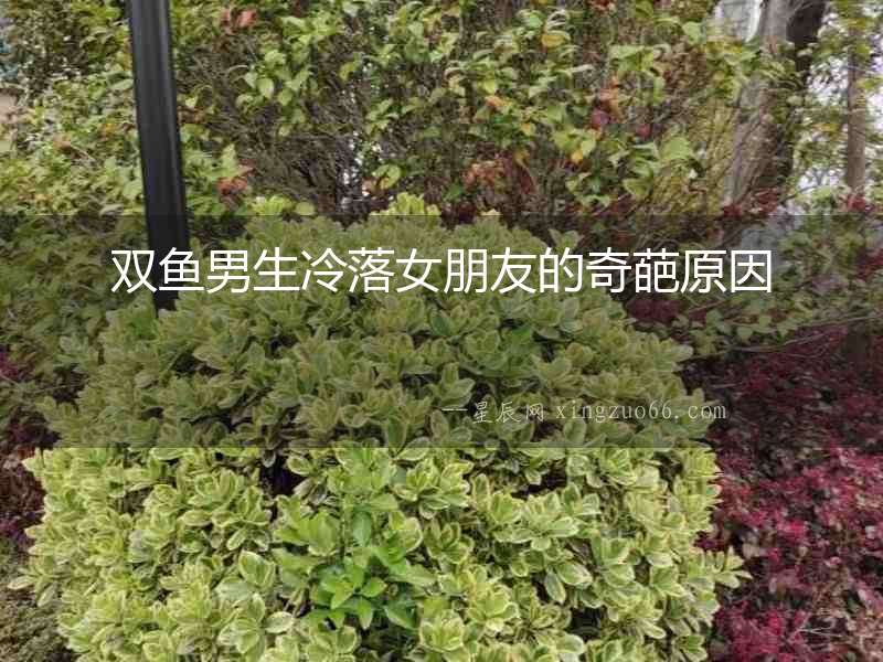 雙魚男生冷落女朋友的奇葩原因