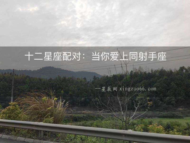 十二星座配對：當你愛上同射手座