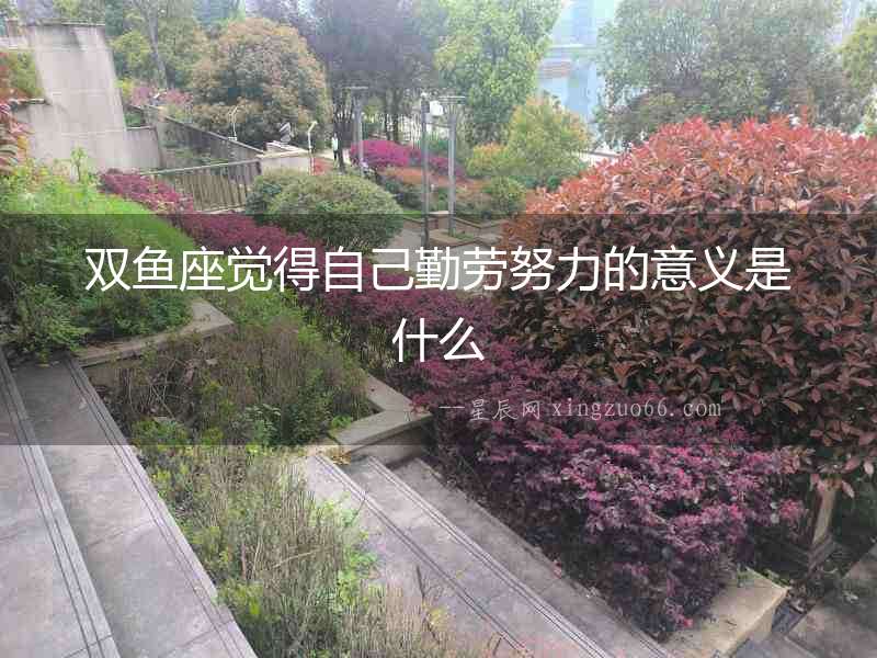 雙魚(yú)座覺(jué)得自己勤勞努力的意義是什么