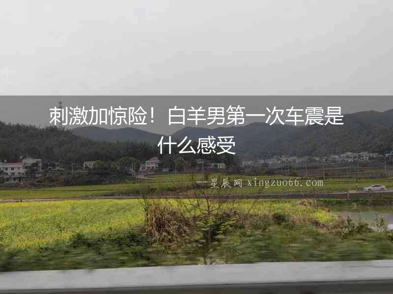 刺激加驚險！白羊男第一次車震是什么感受