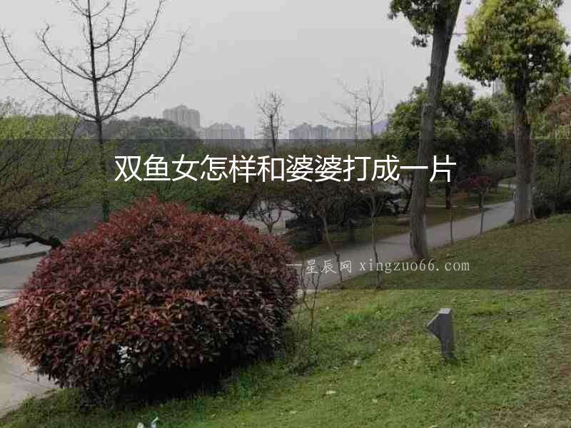雙魚女怎樣和婆婆打成一片
