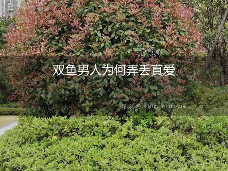 雙魚男人為何弄丟真愛