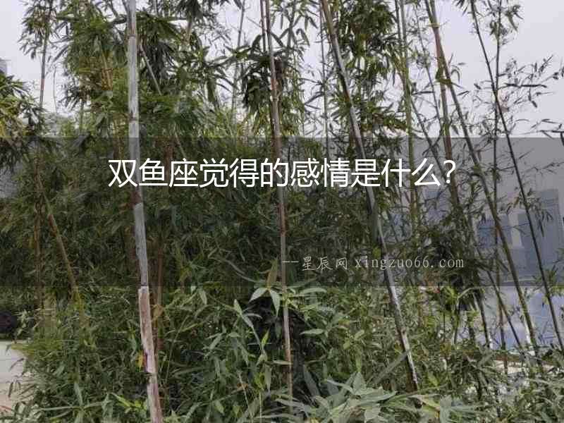 雙魚座覺得的感情是什么？