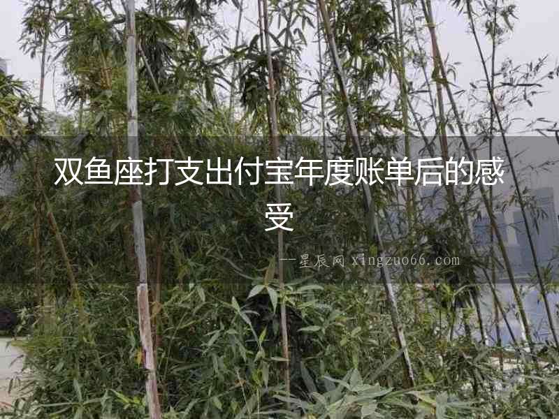 雙魚座打支出付寶年度賬單后的感受