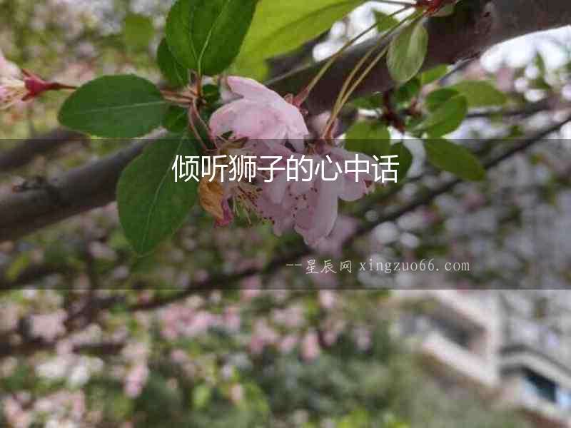傾聽獅子的心中話