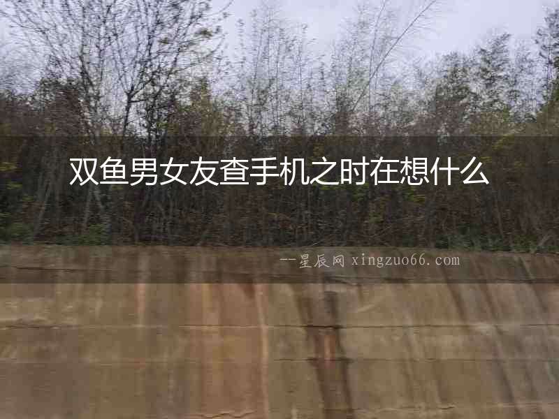 雙魚男女友查手機之時在想什么