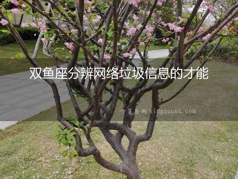 雙魚座分辨網(wǎng)絡(luò)垃圾信息的才能