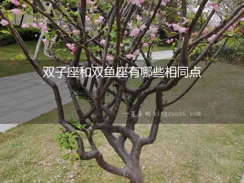 雙子座和雙魚座有哪些相同點