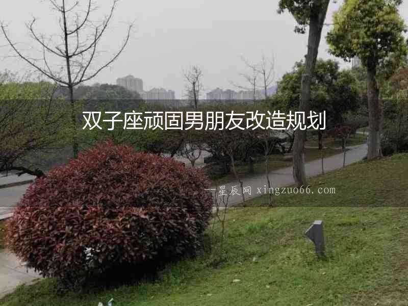雙子座頑固男朋友改造規劃