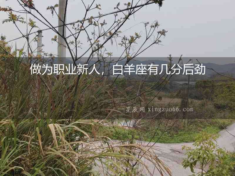 做為職業新人，白羊座有幾分后勁