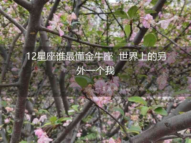 12星座誰(shuí)最懂金牛座  世界上的另外一個(gè)我