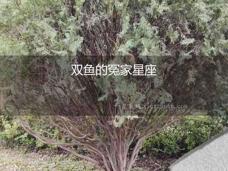 雙魚的冤家星座