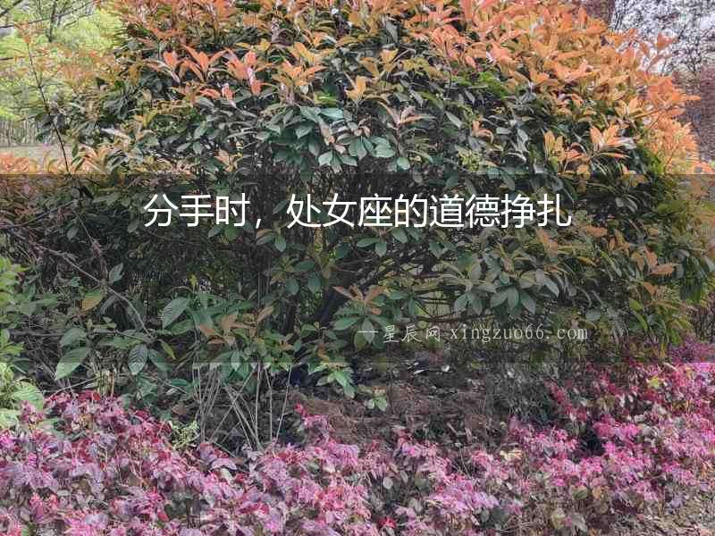 分手時(shí)，處女座的道德掙扎