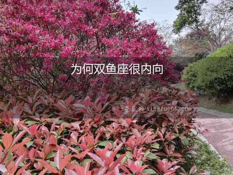 為何雙魚(yú)座很內(nèi)向